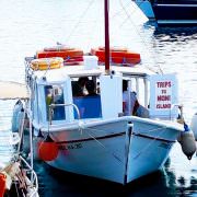 Aegina Island Half Day Private Trikke Experience 5