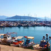 Aegina Island Half Day Private Trikke Experience 8